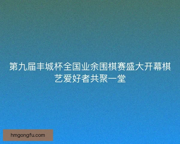 第九届丰城杯全国业余围棋赛盛大开幕棋艺爱好者共聚一堂